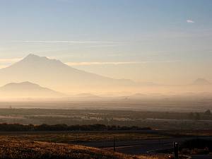shasta.jpg